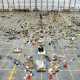 Space Shuttle Disaster Bodies: Forensic Analysis & Safety | Disaster Information Hub – Latest Natural Disaster News & Emergency Resources
