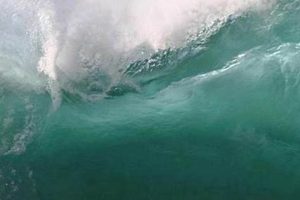 Essential Photos to Take Before Disaster Strikes Disaster Information Hub – Latest Natural Disaster News & Emergency Resources Essential Photos to Take Before Disaster Strikes | Disaster Information Hub – Latest Natural Disaster News & Emergency Resources