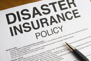 Best Disaster Insurance Plans & Coverage Disaster Information Hub – Latest Natural Disaster News & Emergency Resources Best Disaster Insurance Plans & Coverage | Disaster Information Hub – Latest Natural Disaster News & Emergency Resources