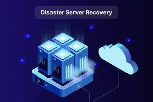 Ultimate Server Disaster Recovery Guide Disaster Information Hub – Latest Natural Disaster News & Emergency Resources Ultimate Server Disaster Recovery Guide | Disaster Information Hub – Latest Natural Disaster News & Emergency Resources