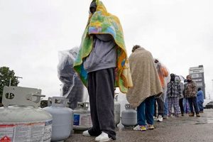 Texas Disaster SNAP Benefits Guide & Application Disaster Information Hub – Latest Natural Disaster News & Emergency Resources Texas Disaster SNAP Benefits Guide & Application | Disaster Information Hub – Latest Natural Disaster News & Emergency Resources