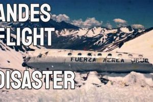Andes Flight Disaster: The Story of Air Force 571 Disaster Information Hub – Latest Natural Disaster News & Emergency Resources Andes Flight Disaster: The Story of Air Force 571 | Disaster Information Hub – Latest Natural Disaster News & Emergency Resources