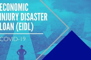 COVID-19 EIDL: Disaster Loan Guide Disaster Information Hub – Latest Natural Disaster News & Emergency Resources COVID-19 EIDL: Disaster Loan Guide | Disaster Information Hub – Latest Natural Disaster News & Emergency Resources