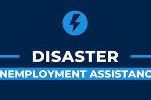 Filing for Unemployment Disaster Relief: A Guide Disaster Information Hub – Latest Natural Disaster News & Emergency Resources Filing for Unemployment Disaster Relief: A Guide | Disaster Information Hub – Latest Natural Disaster News & Emergency Resources