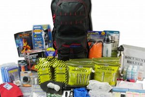 Best Disaster Kit Backpacks for Emergencies Disaster Information Hub – Latest Natural Disaster News & Emergency Resources Best Disaster Kit Backpacks for Emergencies | Disaster Information Hub – Latest Natural Disaster News & Emergency Resources