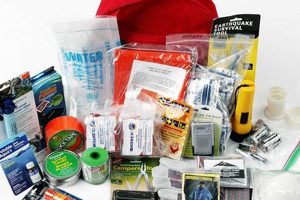What To Put In A Disaster Kit Disaster Information Hub – Latest Natural Disaster News & Emergency Resources What To Put In A Disaster Kit | Disaster Information Hub – Latest Natural Disaster News & Emergency Resources