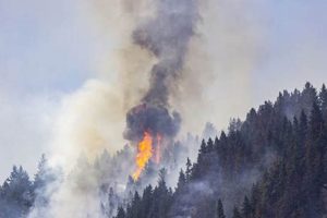 Washington Natural Disaster Guide & Resources Disaster Information Hub – Latest Natural Disaster News & Emergency Resources Washington Natural Disaster Guide & Resources | Disaster Information Hub – Latest Natural Disaster News & Emergency Resources