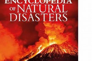 Best Natural Disaster Toys for Learning & Play Disaster Information Hub – Latest Natural Disaster News & Emergency Resources Best Natural Disaster Toys for Learning & Play | Disaster Information Hub – Latest Natural Disaster News & Emergency Resources