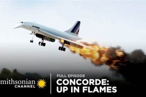 Concorde Air Disasters: Lessons & Legacy Disaster Information Hub – Latest Natural Disaster News & Emergency Resources Concorde Air Disasters: Lessons & Legacy | Disaster Information Hub – Latest Natural Disaster News & Emergency Resources