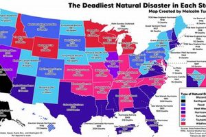 US States Most at Risk for Natural Disasters Disaster Information Hub – Latest Natural Disaster News & Emergency Resources US States Most at Risk for Natural Disasters | Disaster Information Hub – Latest Natural Disaster News & Emergency Resources