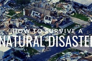 Prepping to Survive Natural Disasters: A Guide Disaster Information Hub – Latest Natural Disaster News & Emergency Resources Prepping to Survive Natural Disasters: A Guide | Disaster Information Hub – Latest Natural Disaster News & Emergency Resources