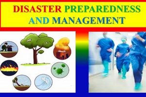 Disaster Preparedness 101: A Guide Disaster Information Hub – Latest Natural Disaster News & Emergency Resources Disaster Preparedness 101: A Guide | Disaster Information Hub – Latest Natural Disaster News & Emergency Resources