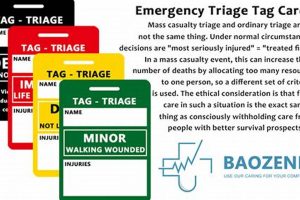 Effective Disaster Triage Tagging in Emergency Response Disaster Information Hub – Latest Natural Disaster News & Emergency Resources Effective Disaster Triage Tagging in Emergency Response | Disaster Information Hub – Latest Natural Disaster News & Emergency Resources