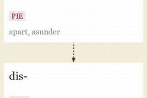 Preventing Etymology Disasters: A Guide Disaster Information Hub – Latest Natural Disaster News & Emergency Resources Preventing Etymology Disasters: A Guide | Disaster Information Hub – Latest Natural Disaster News & Emergency Resources