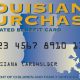 Louisiana Disaster Food Stamps: Get Help Now | Disaster Information Hub – Latest Natural Disaster News & Emergency Resources
