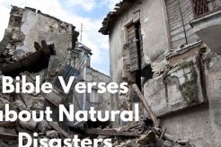 Soothing Bible Verses for Natural Disaster Relief Disaster Information Hub – Latest Natural Disaster News & Emergency Resources Soothing Bible Verses for Natural Disaster Relief | Disaster Information Hub – Latest Natural Disaster News & Emergency Resources