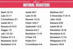 Bible's Wisdom on Natural Disasters: Insights & Hope Disaster Information Hub – Latest Natural Disaster News & Emergency Resources Bible's Wisdom on Natural Disasters: Insights & Hope | Disaster Information Hub – Latest Natural Disaster News & Emergency Resources