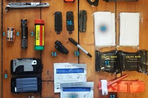 Essential Urban Disaster Kit: Prepping for Emergencies Disaster Information Hub – Latest Natural Disaster News & Emergency Resources Essential Urban Disaster Kit: Prepping for Emergencies | Disaster Information Hub – Latest Natural Disaster News & Emergency Resources