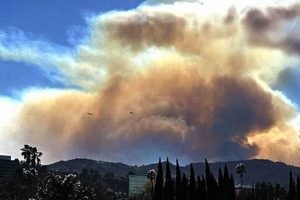 Bel Air Fire: Design for Disaster Prevention Disaster Information Hub – Latest Natural Disaster News & Emergency Resources Bel Air Fire: Design for Disaster Prevention | Disaster Information Hub – Latest Natural Disaster News & Emergency Resources