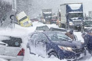 Surviving the Snow: Disaster Preparedness Guide Disaster Information Hub – Latest Natural Disaster News & Emergency Resources Surviving the Snow: Disaster Preparedness Guide | Disaster Information Hub – Latest Natural Disaster News & Emergency Resources