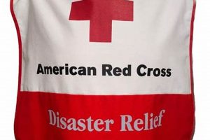 Find Red Cross Disaster Relief Jobs & Careers Disaster Information Hub – Latest Natural Disaster News & Emergency Resources Find Red Cross Disaster Relief Jobs & Careers | Disaster Information Hub – Latest Natural Disaster News & Emergency Resources