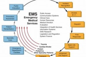EMS Disaster Prep: Systems & Strategies Disaster Information Hub – Latest Natural Disaster News & Emergency Resources EMS Disaster Prep: Systems & Strategies | Disaster Information Hub – Latest Natural Disaster News & Emergency Resources