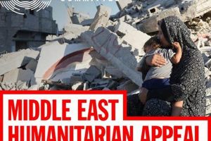 Top Disaster Emergency Committee Jobs & Careers Disaster Information Hub – Latest Natural Disaster News & Emergency Resources Top Disaster Emergency Committee Jobs & Careers | Disaster Information Hub – Latest Natural Disaster News & Emergency Resources