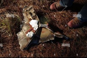 Columbia Shuttle Tragedy: Crew Remains and Loss Disaster Information Hub – Latest Natural Disaster News & Emergency Resources Columbia Shuttle Tragedy: Crew Remains and Loss | Disaster Information Hub – Latest Natural Disaster News & Emergency Resources