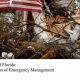 Florida Disaster Recovery Guide & Resources | Disaster Information Hub – Latest Natural Disaster News & Emergency Resources