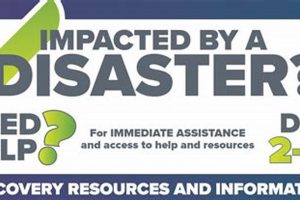 Harris County Disaster Recovery Guide & Resources Disaster Information Hub – Latest Natural Disaster News & Emergency Resources Harris County Disaster Recovery Guide & Resources | Disaster Information Hub – Latest Natural Disaster News & Emergency Resources