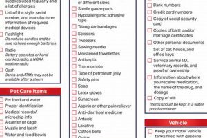The Ultimate Disaster Supply List & Checklist Disaster Information Hub – Latest Natural Disaster News & Emergency Resources The Ultimate Disaster Supply List & Checklist | Disaster Information Hub – Latest Natural Disaster News & Emergency Resources