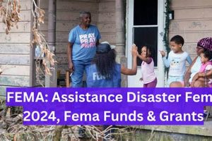 Get FEMA Small Business Disaster Grants & Aid Disaster Information Hub – Latest Natural Disaster News & Emergency Resources Get FEMA Small Business Disaster Grants & Aid | Disaster Information Hub – Latest Natural Disaster News & Emergency Resources