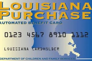 LA Disaster Food Stamps Guide & Application Disaster Information Hub – Latest Natural Disaster News & Emergency Resources LA Disaster Food Stamps Guide & Application | Disaster Information Hub – Latest Natural Disaster News & Emergency Resources
