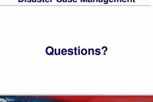 Expert Disaster Case Management Services Disaster Information Hub – Latest Natural Disaster News & Emergency Resources Expert Disaster Case Management Services | Disaster Information Hub – Latest Natural Disaster News & Emergency Resources