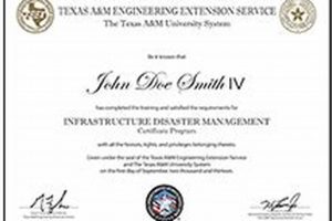 TEEX Disaster Management Certificate: Get Certified Now Disaster Information Hub – Latest Natural Disaster News & Emergency Resources TEEX Disaster Management Certificate: Get Certified Now | Disaster Information Hub – Latest Natural Disaster News & Emergency Resources