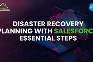 The Ultimate Salesforce Disaster Recovery Plan Guide Disaster Information Hub – Latest Natural Disaster News & Emergency Resources The Ultimate Salesforce Disaster Recovery Plan Guide | Disaster Information Hub – Latest Natural Disaster News & Emergency Resources