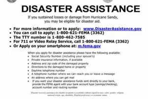 FEMA Disaster Assistance: Phone Number & Helpline Disaster Information Hub – Latest Natural Disaster News & Emergency Resources FEMA Disaster Assistance: Phone Number & Helpline | Disaster Information Hub – Latest Natural Disaster News & Emergency Resources