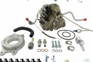 Essential CP3 Disaster Kit Supplies & Checklist Disaster Information Hub – Latest Natural Disaster News & Emergency Resources Essential CP3 Disaster Kit Supplies & Checklist | Disaster Information Hub – Latest Natural Disaster News & Emergency Resources