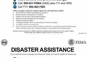 FEMA Disaster Relief: Contact Phone Number & Helpline Disaster Information Hub – Latest Natural Disaster News & Emergency Resources FEMA Disaster Relief: Contact Phone Number & Helpline | Disaster Information Hub – Latest Natural Disaster News & Emergency Resources