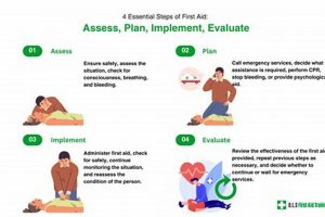Disaster Guidelines: Staying Safe in Any Crisis Disaster Information Hub – Latest Natural Disaster News & Emergency Resources Disaster Guidelines: Staying Safe in Any Crisis | Disaster Information Hub – Latest Natural Disaster News & Emergency Resources