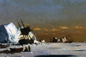 1871: Arctic Whaling Disaster & Rescue Disaster Information Hub – Latest Natural Disaster News & Emergency Resources 1871: Arctic Whaling Disaster & Rescue | Disaster Information Hub – Latest Natural Disaster News & Emergency Resources