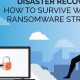 Ultimate Disaster Recovery Ransomware Protection Guide | Disaster Information Hub – Latest Natural Disaster News & Emergency Resources