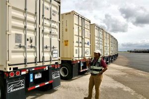 FEMA Beryl Disaster Relief: How to Apply Disaster Information Hub – Latest Natural Disaster News & Emergency Resources FEMA Beryl Disaster Relief: How to Apply | Disaster Information Hub – Latest Natural Disaster News & Emergency Resources