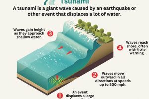 Stop Disasters: Tsunami Facts & Safety Tips Disaster Information Hub – Latest Natural Disaster News & Emergency Resources Stop Disasters: Tsunami Facts & Safety Tips | Disaster Information Hub – Latest Natural Disaster News & Emergency Resources