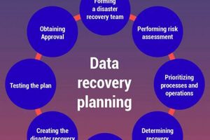Ultimate Disaster Recovery Plan Cyber Security Guide Disaster Information Hub – Latest Natural Disaster News & Emergency Resources Ultimate Disaster Recovery Plan Cyber Security Guide | Disaster Information Hub – Latest Natural Disaster News & Emergency Resources