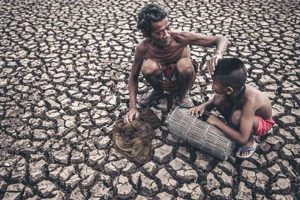 Natural Disasters' Impact on Genetic Drift Disaster Information Hub – Latest Natural Disaster News & Emergency Resources Natural Disasters' Impact on Genetic Drift | Disaster Information Hub – Latest Natural Disaster News & Emergency Resources
