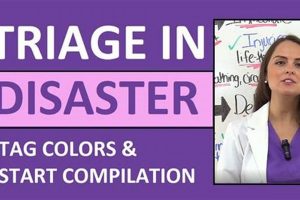 Understanding Disaster Triage Colors: A Guide Disaster Information Hub – Latest Natural Disaster News & Emergency Resources Understanding Disaster Triage Colors: A Guide | Disaster Information Hub – Latest Natural Disaster News & Emergency Resources
