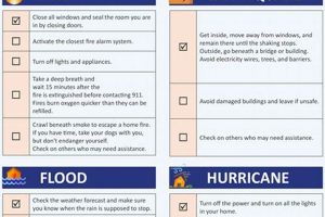 Best Disaster Plan Format Guide & Template Disaster Information Hub – Latest Natural Disaster News & Emergency Resources Best Disaster Plan Format Guide & Template | Disaster Information Hub – Latest Natural Disaster News & Emergency Resources