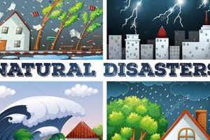 Top Stocks for Natural Disaster Preparedness & Recovery Disaster Information Hub – Latest Natural Disaster News & Emergency Resources Top Stocks for Natural Disaster Preparedness & Recovery | Disaster Information Hub – Latest Natural Disaster News & Emergency Resources