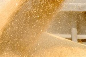 Preventing Feed Handling Dust Disasters: A Guide Disaster Information Hub – Latest Natural Disaster News & Emergency Resources Preventing Feed Handling Dust Disasters: A Guide | Disaster Information Hub – Latest Natural Disaster News & Emergency Resources
